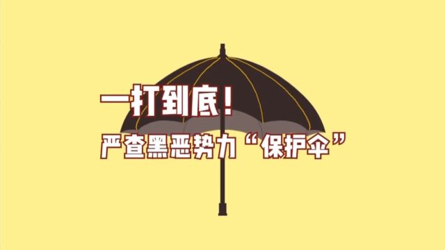 5.严查黑恶势力保护伞