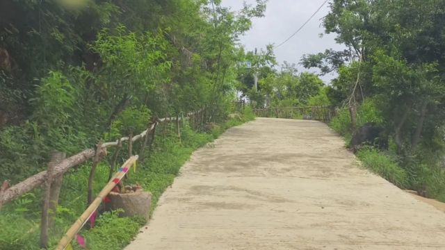 在景区内漫步,道路两旁绿茵茵的灌木丛犹如自然的守护者.它们不仅为行者带来清新的空气,还用生命的绿色洗涤心灵,让每一步都充满了发现