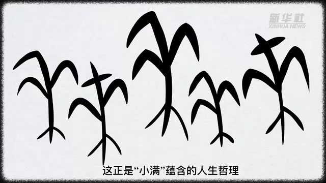 文化中国行丨甲骨文“画”节气:小满