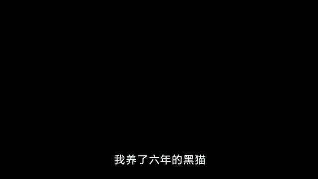 我养了六年的黑猫,被小人残忍杀害 #灵异故事 #黑猫 #悬疑