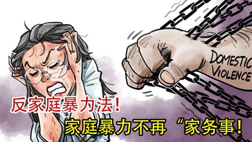 家庭暴力不再“家务事”!反家庭暴力法实施后,我们该如何正确应对?一起来了解一下吧!_高清1080P在线观看平台_腾讯视频