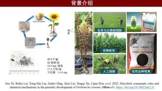 iMeta | 林雁冰/James M. Tiedje/谷洁等揭示菌群对寄生植物列当的调控作用