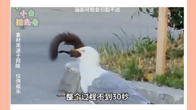 大型纪录片《去码头整点薯条》