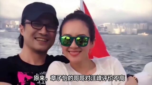 章子怡哥哥曾激烈反对汪峰求婚,现场混乱还误伤了王力宏前妻?