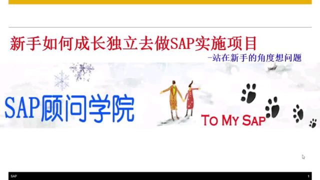 新手如何成长独立去做SAP实施项目part1