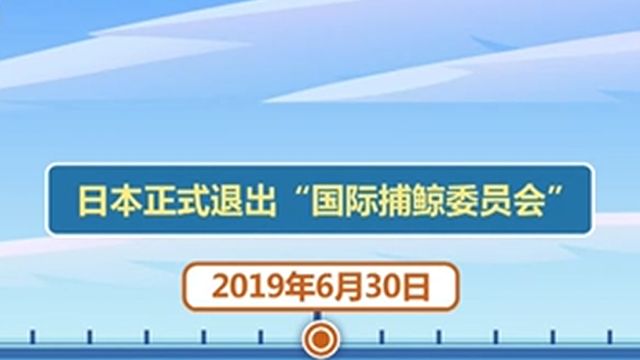 日本新捕鲸船首航,计划年底前捕获200头鲸,日本曾“退群”执意商业捕鲸