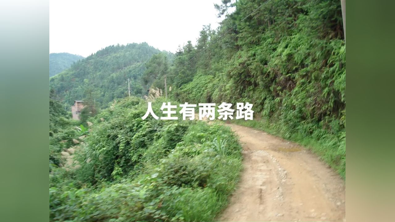 人生有两条路