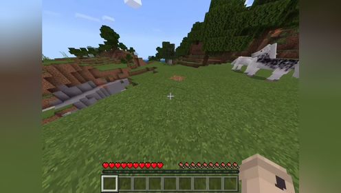 火把:我里外不是人#我的世界挑战 #我的世界 16