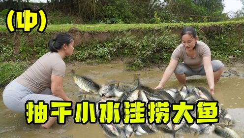 第259期:抽干小水洼捞大鱼,满地肥美的鱼儿随便捡,这种捞鱼方法太爽了!(中)_高清1080P在线观看平台_腾讯视频