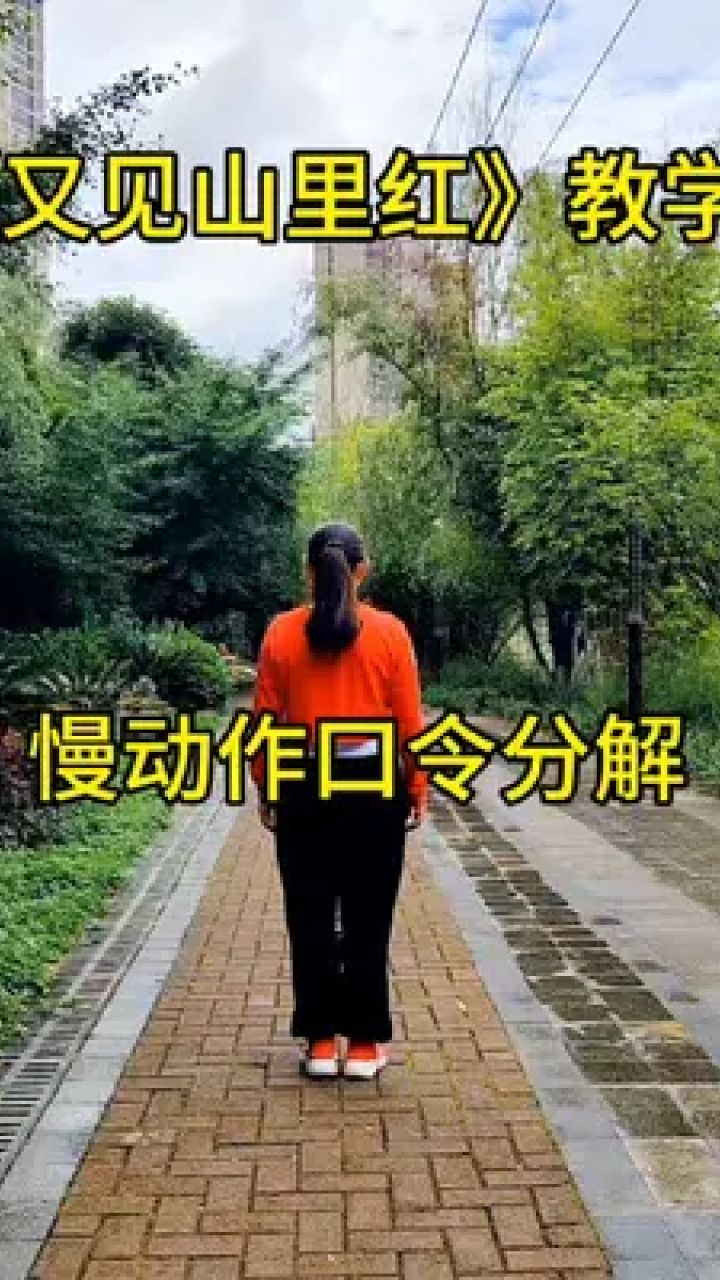 《又见山里红》慢动作分解#简单易学广场舞 #广场舞入门教学视频