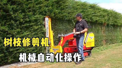 德国发明树枝修剪机,贴着树木开过去,修剪画面太解压!_高清1080P在线观看平台_腾讯视频