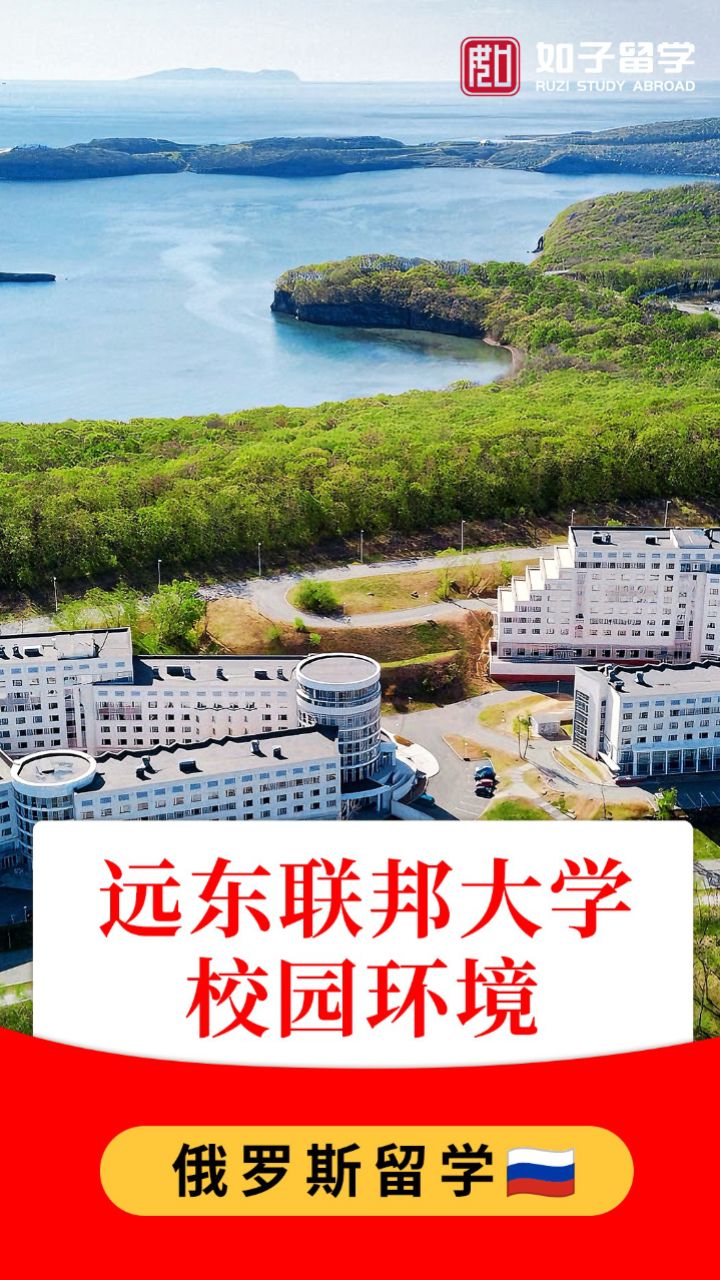 远东联邦国立大学图片