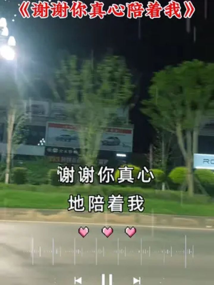 谢谢你真心的陪着我