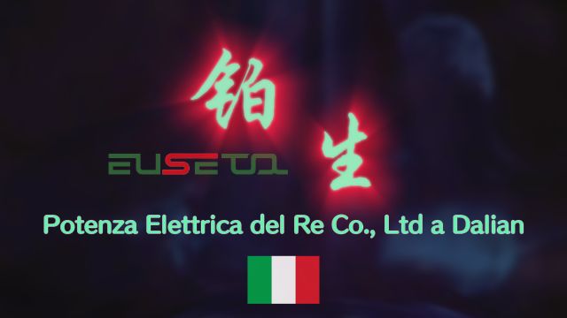 Potenza Elettrica del Re Co., Ltd a Dalian