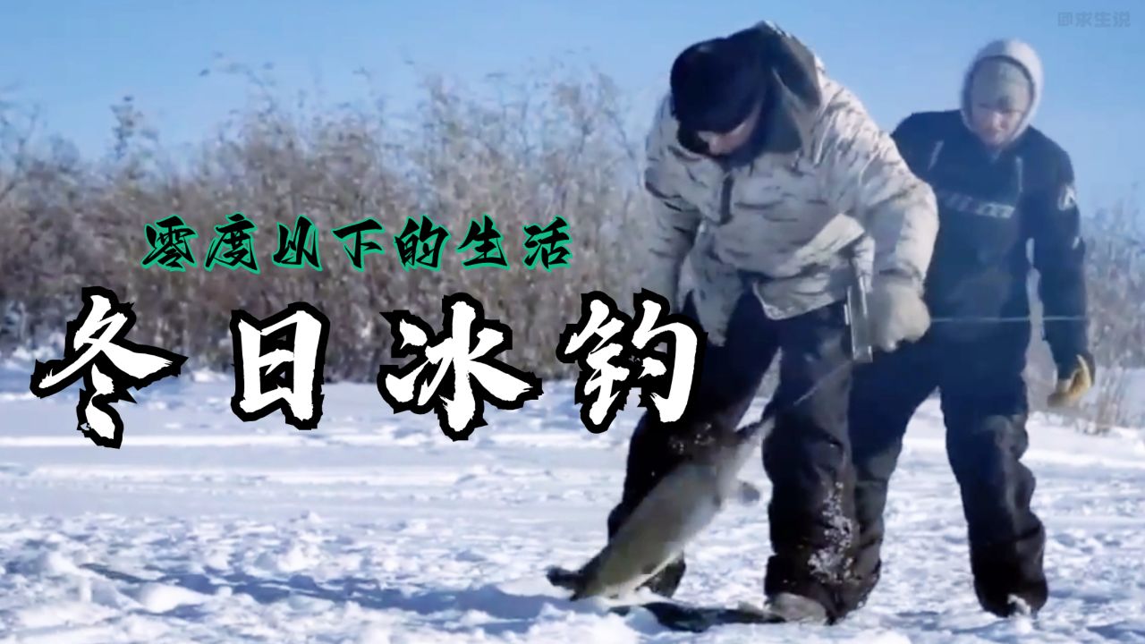 零度以下的生活:黑尔斯通一家外出来到大姐猎场冰钓梭子鱼聚餐