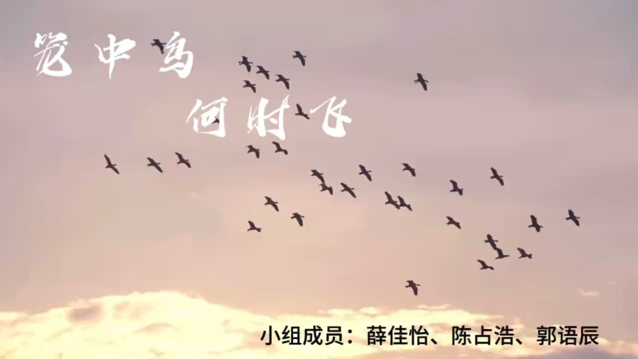 笼中鸟何时飞_腾讯视频