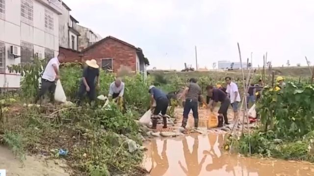 关注汛情,湖南岳阳:洞庭湖城陵矶逼近保证水位