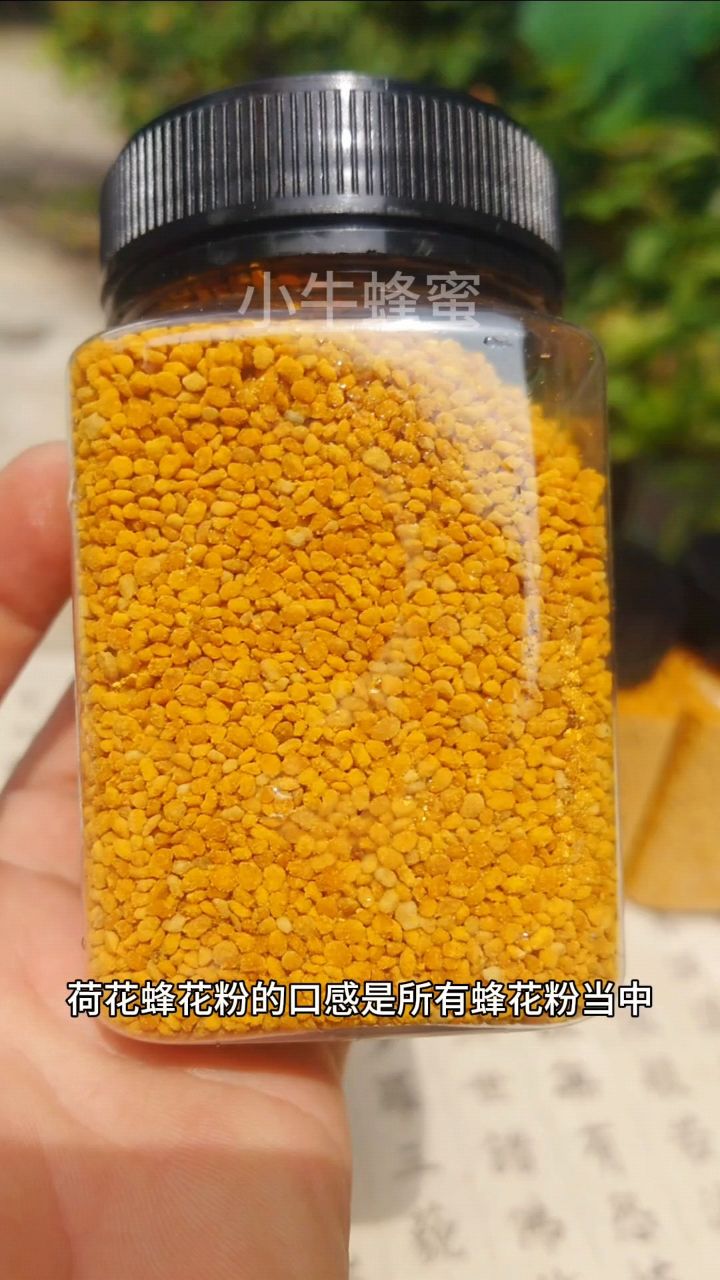 蜂花粉怎么吃法服用方法蜂花粉的作用与功效及食用方法荷花蜂花粉比