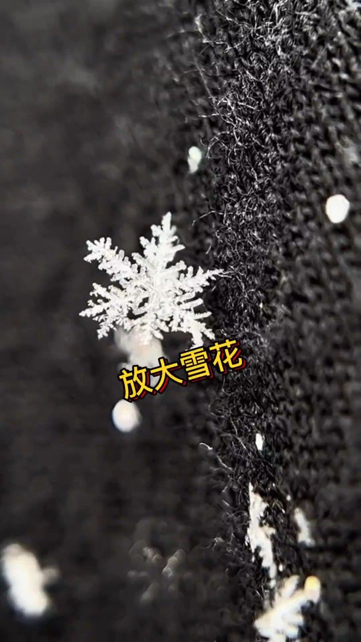 雪花放大一亿倍图片