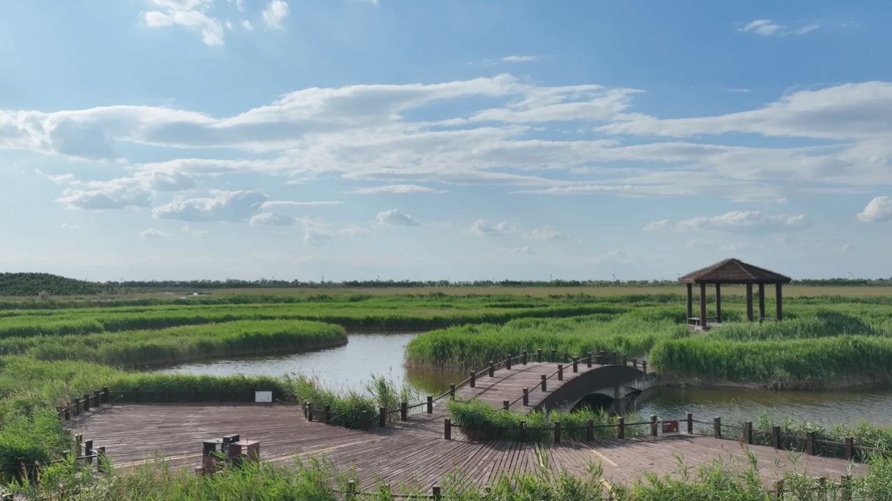 河北沧州南大港