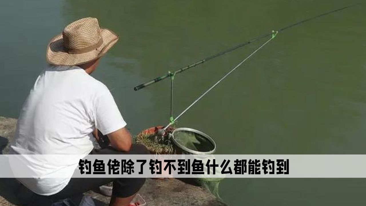 钓鱼佬就是除了鱼什么都能钓上来，如果突然不钓了绝对是碰上事了_高清1080P在线观看平台_腾讯视频