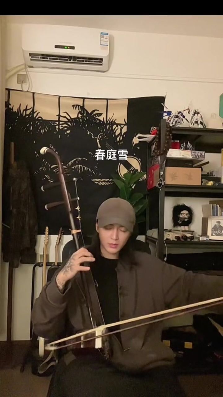 春庭雪#春庭雪#音乐就要这么玩#这遍春庭雪弹的很开门