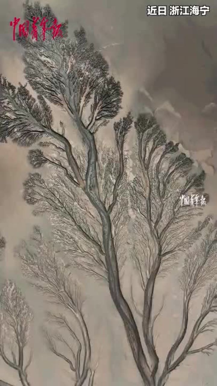 钱塘江潮水退去,滩涂上的潮汐树栩栩如生_高清1080P在线观看平台_腾讯视频