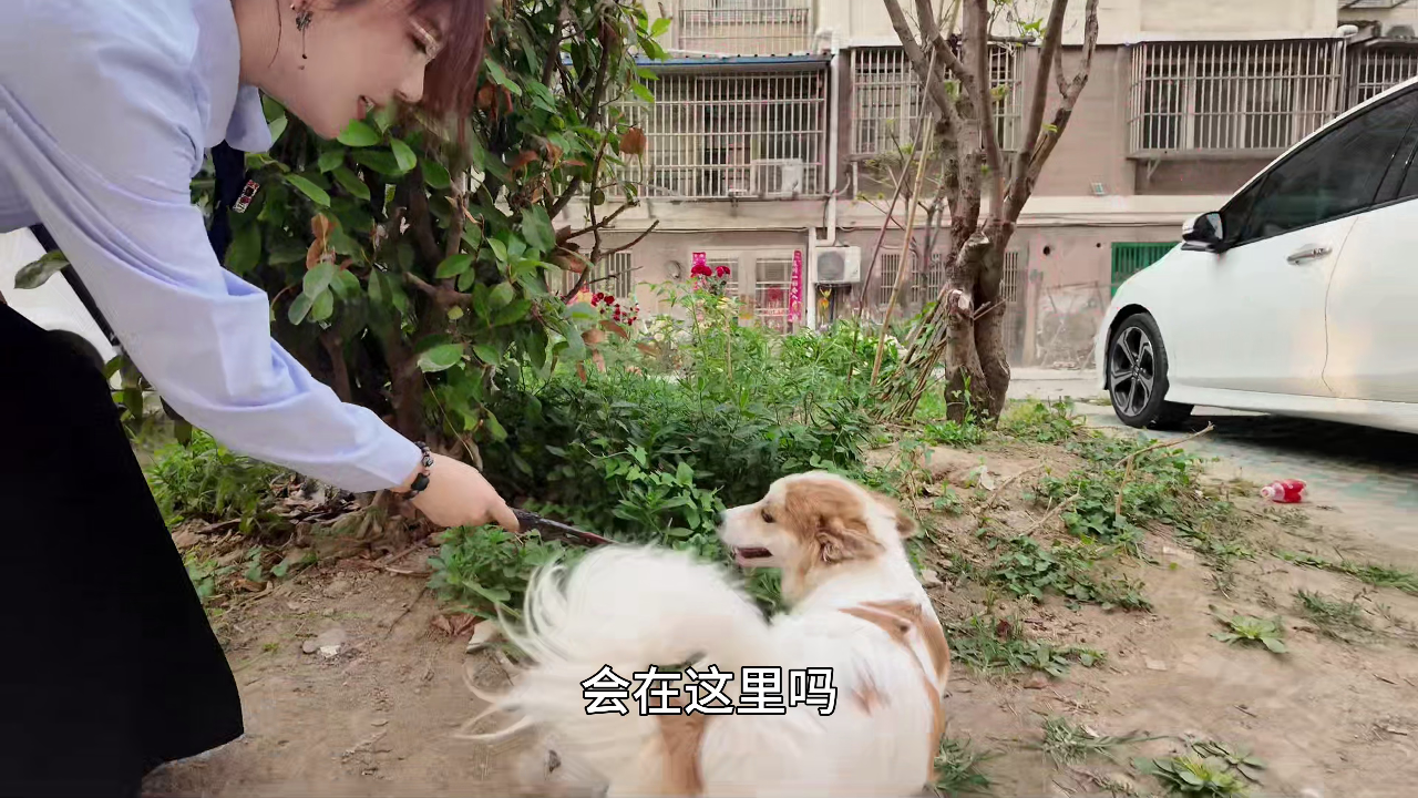 尼可姐姐的玩具屋 11集