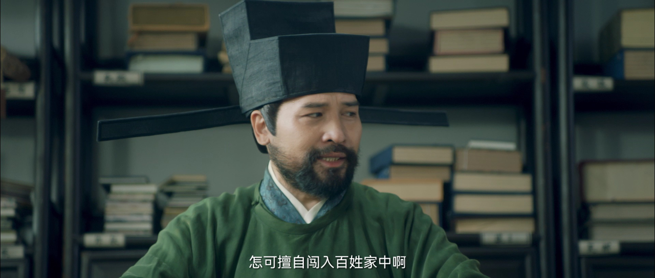 大宋有奇案 13集