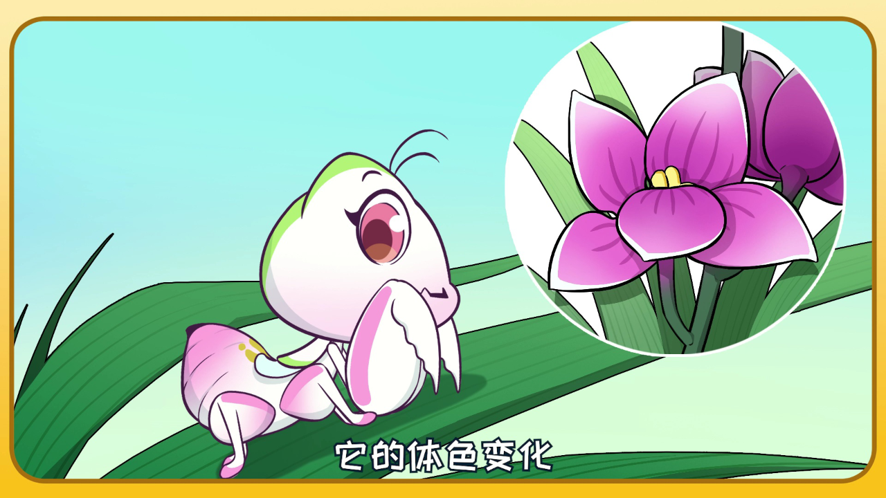 脑洞君动物大救援 2集