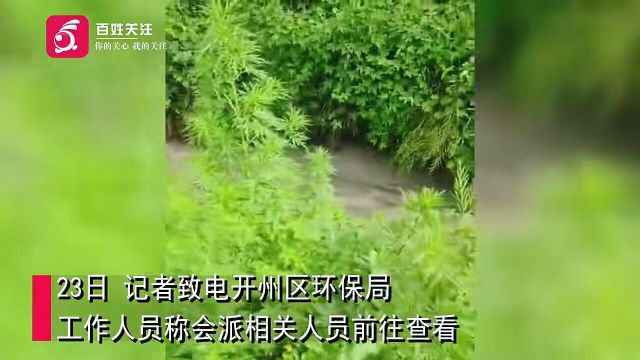 重庆一石材厂污水直排污染河道 知情者:涉事工厂已停工