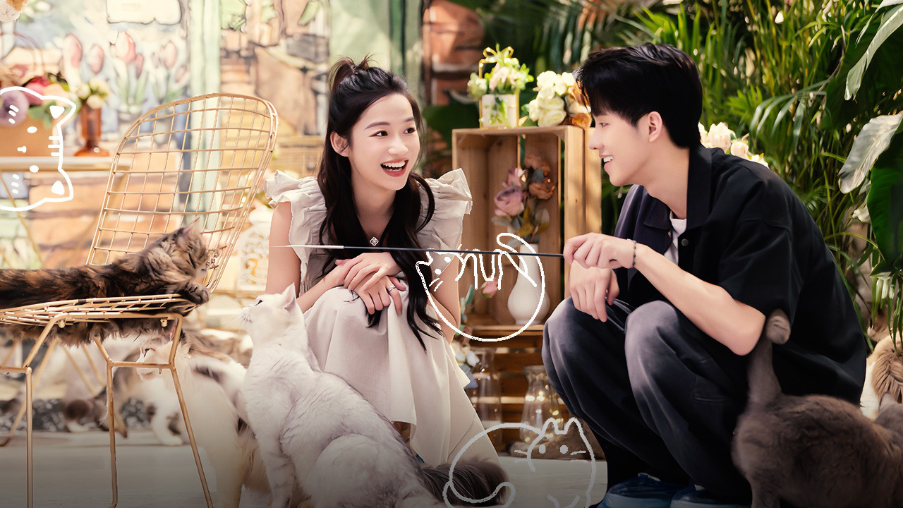 第8期下：最后一次约会感情线再变化？