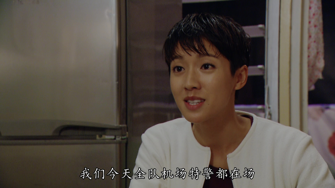 机场特警[普通话版] 6集