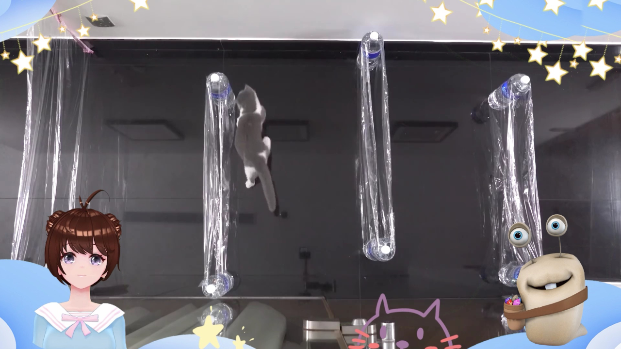 白白侠的猫咪朋友 17集