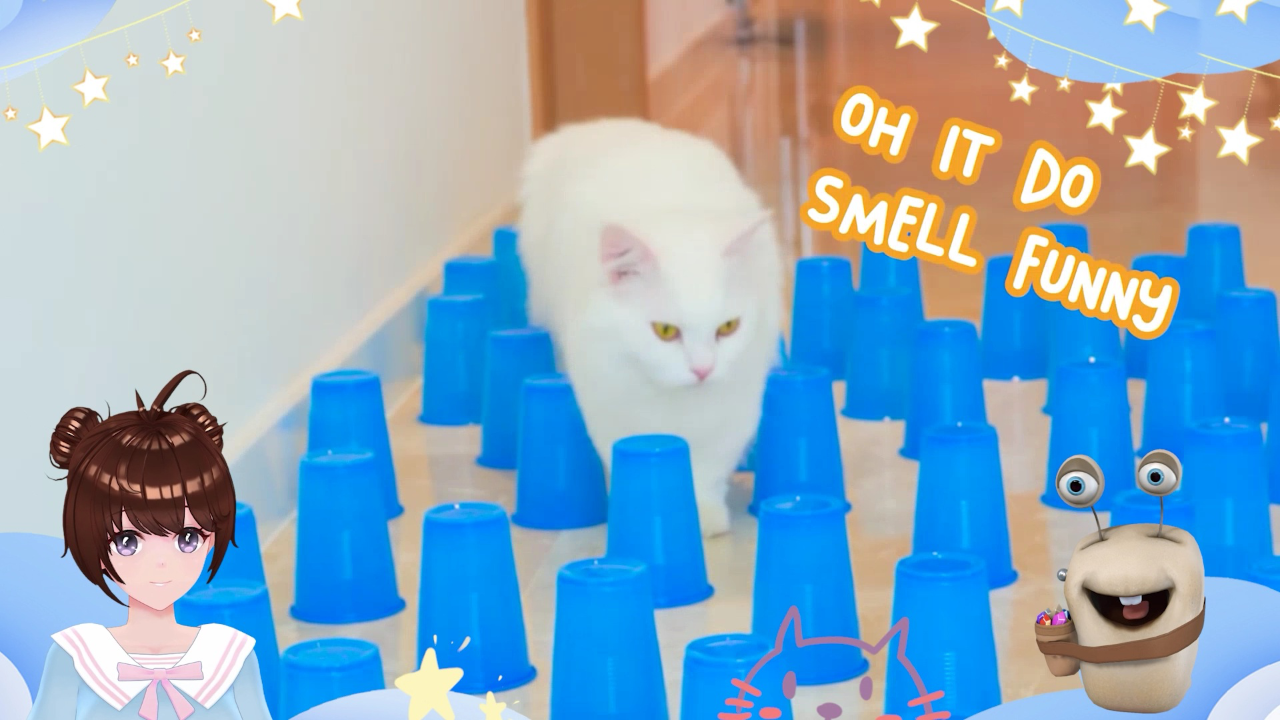 白白侠的猫咪朋友 7集
