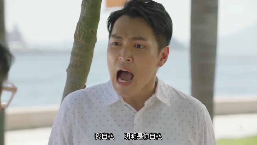 上车家族[粤语版] 5集