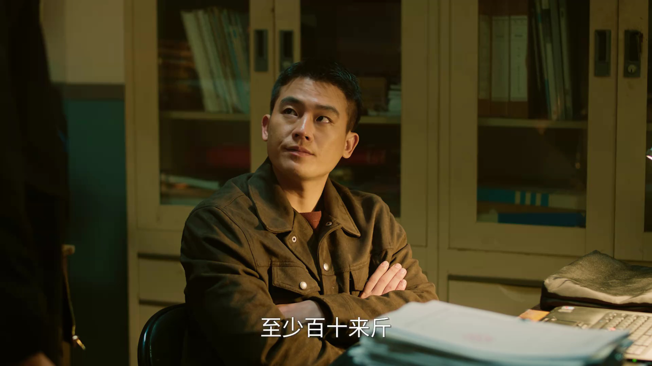刑警的日子 11集