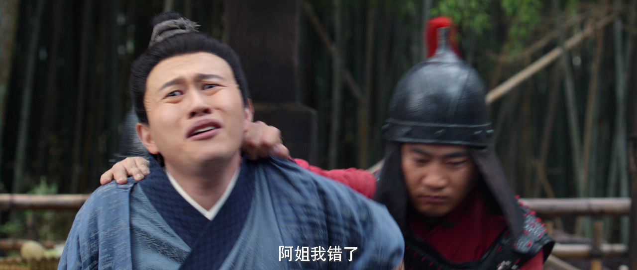 一梦如初 15集