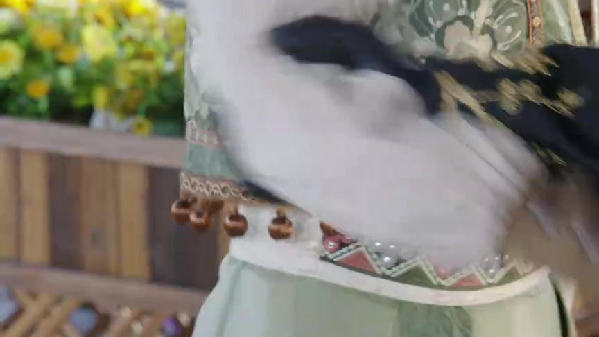 焚心 12集