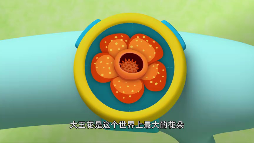 海底小纵队第十季[普通话版] 14集