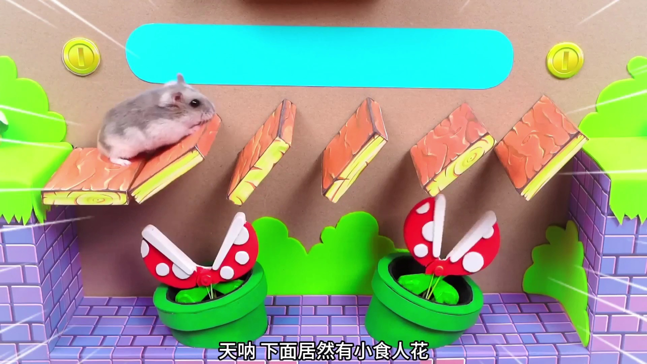 小仓鼠闯关乐园 186集