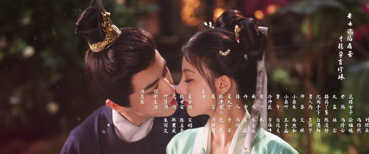 暗渡春华 12集