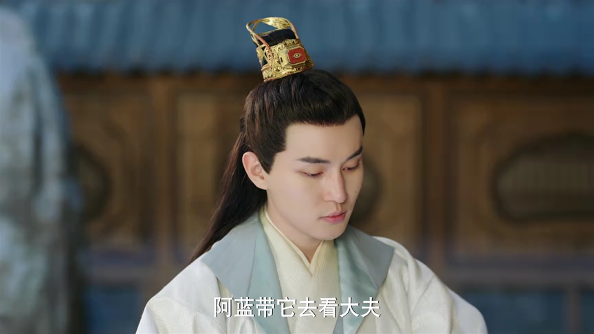 机智的公主殿下 6集