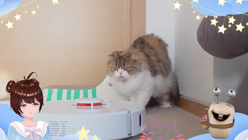 白白侠的猫咪朋友 153集