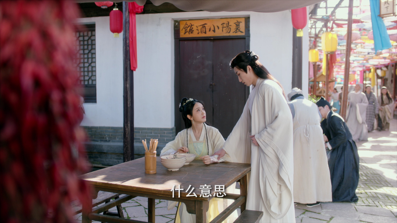 陆昭昭的刺客笔记 11集