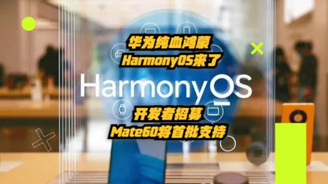 华为纯血鸿蒙HarmonyOS来了!开发者招募,Mate60将首批支持