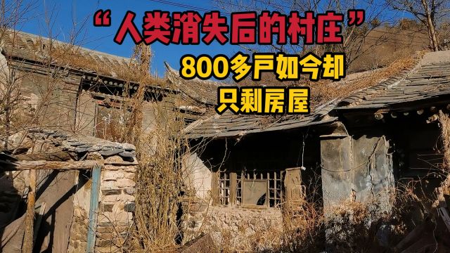 北京深山600余年古村,800多户为何搬离,古宅林立荒草丛生