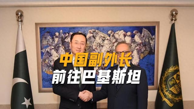 巴伊上演“互相反恐”操作,中方采取行动,派人与两国进行对表