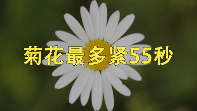 当我们菊花一紧,最多也只能55秒!