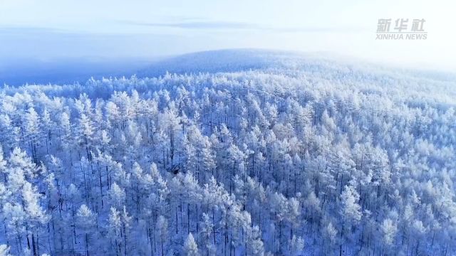 延续冬奥激情 放飞冰雪梦想——写在“十四冬”开幕之际